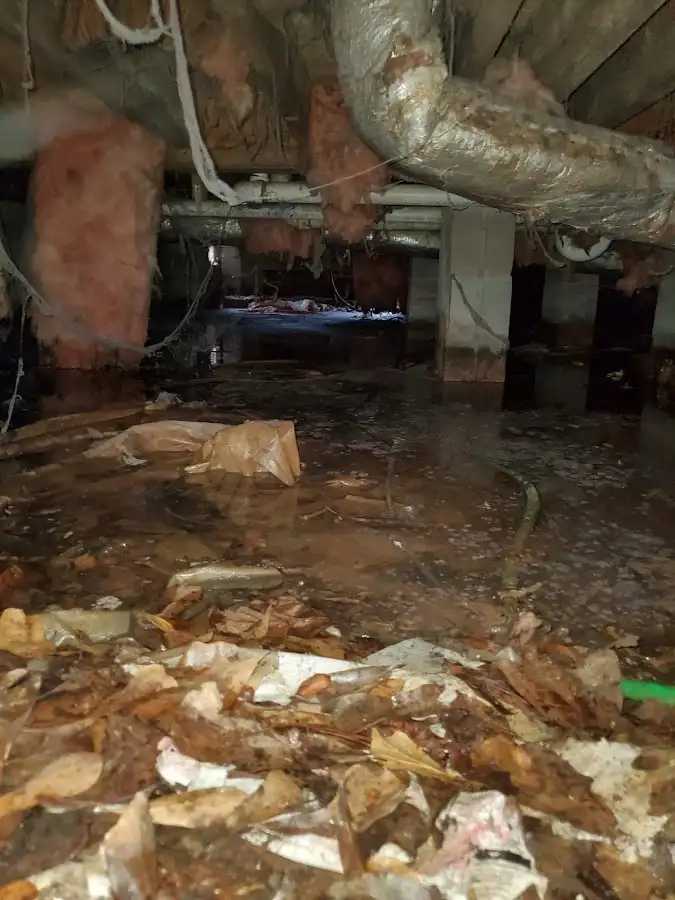 Crawl space flood assessment for Leak Detection & Repair in Guadalupe