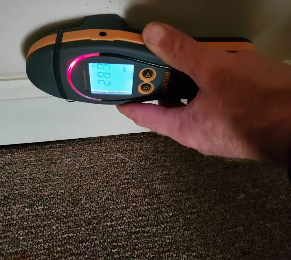 Moisture detection at baseboard during Sewage Cleanup & Sanitation in Guadalupe